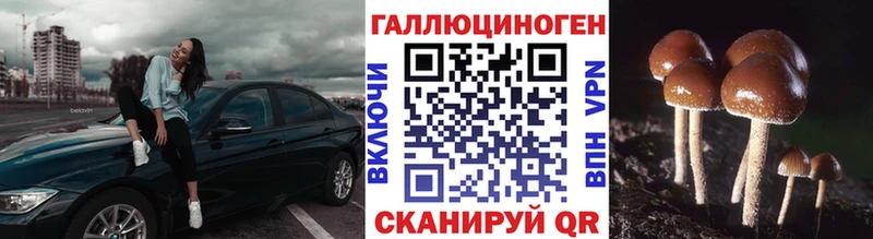 что такое наркотик  Нижневартовск  Псилоцибиновые грибы Psilocybine cubensis 