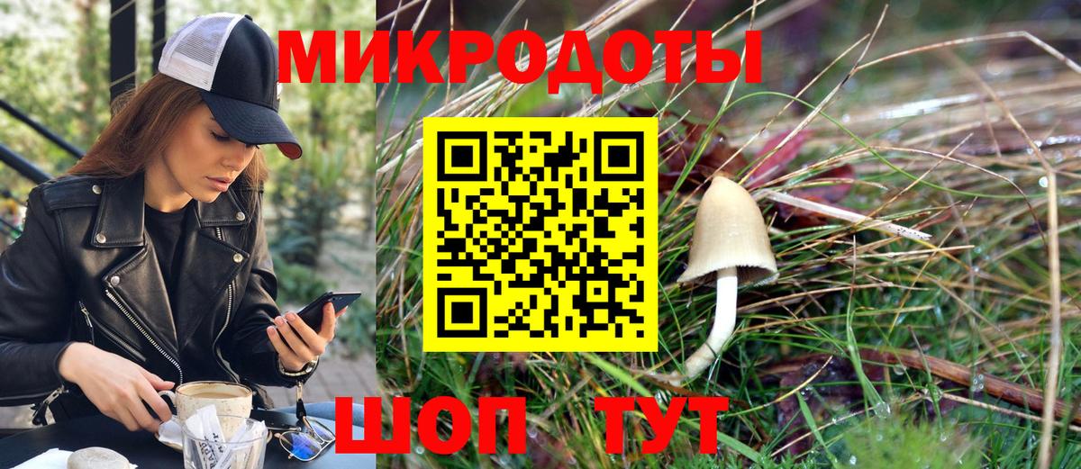 Галлюциногенные грибы Cubensis Нижневартовск