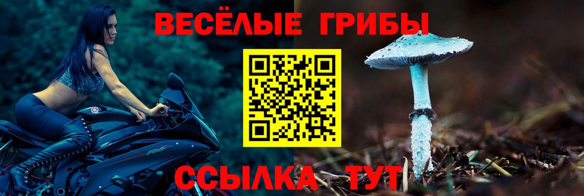 Галлюциногенные грибы GOLDEN TEACHER Нижневартовск