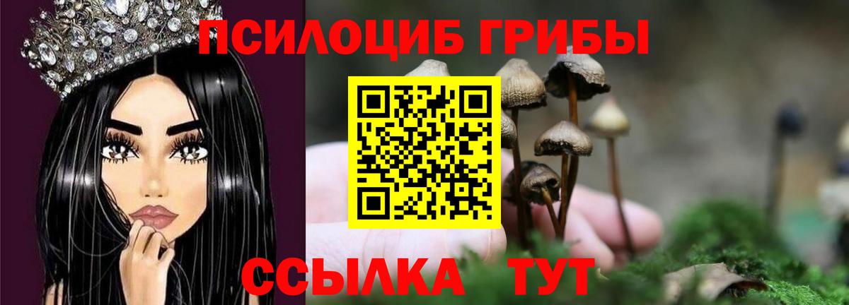 Псилоцибиновые грибы GOLDEN TEACHER  Вход с VPN  Нижневартовск 